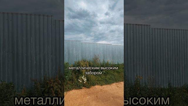 ПРИЮТ «ГВАРДИЯ» 🐶🫶🏻 Часть 1