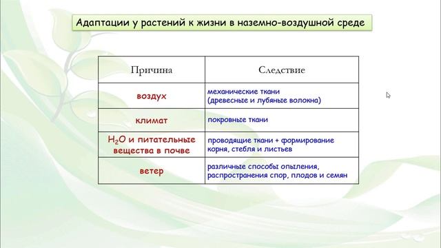 Тема 11. Наземно-воздушная среда жизни. Адаптации организмов к жизни в наземно-воздушной среде