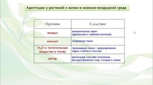 Тема 11. Наземно-воздушная среда жизни. Адаптации организмов к жизни в наземно-воздушной среде