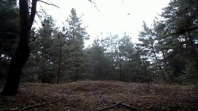 14 декабря 2020 Новолуние . Что нужно успеть сделать и что нельзя делать...Фазы луны