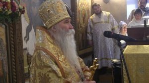 Слово владыки Феофилакта 14 11 2021