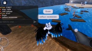 как получить акулу в роблокс бесплатно