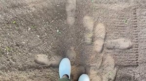 Секрет идеального газона и уюта на даче / Яна в деле #9