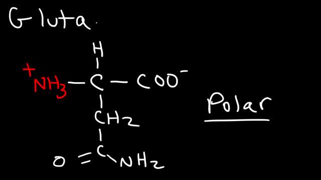 Memorize The 20 Amino Acids - The Easy Way! смотреть онлайн
