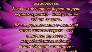 К чему снится кролик