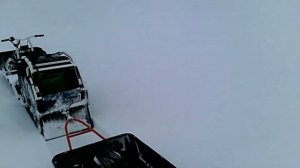 Койра богатырь mini