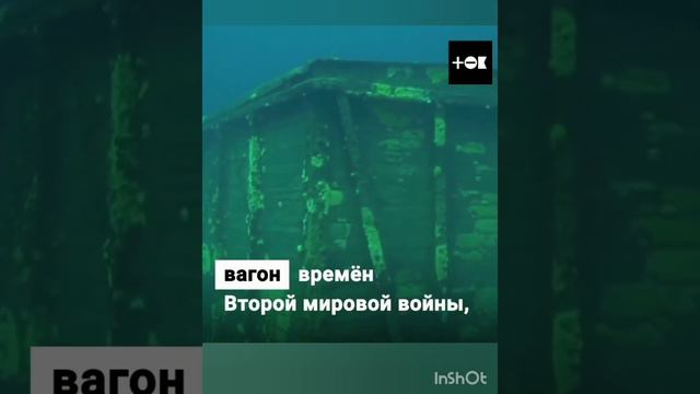 Необычные находки со дна Байкала #находки #экология