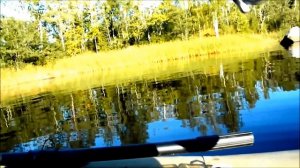 Как я пытался ловить на поппер сам и учить других,видео о том как не надо ловить на поппер.
