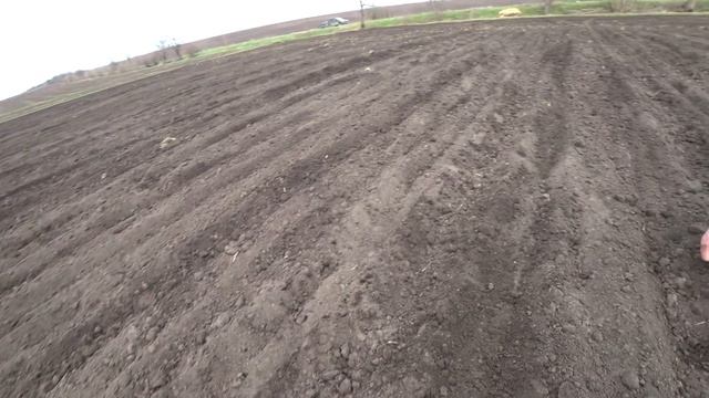 Начали сезон посева 2021 посев подсолнуха 13.04.2021. смотреть онлайн