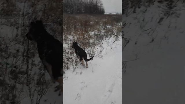 28 октября 2023 г. смотреть онлайн