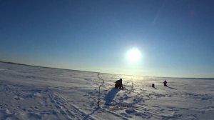 Рыбалка на Волге. Первый выезд на снегоходе Stels Капитан. Неожиданный клев судака на 1.5 метрах!