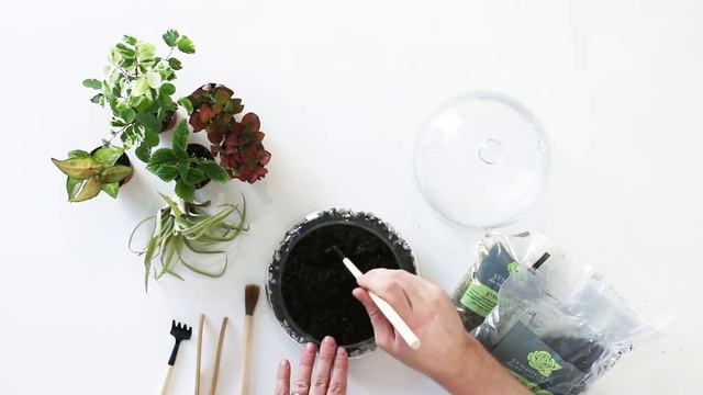 Syndicate Home & Garden | Check out these fun DIY Plant Terrariums for your home or office! смотреть онлайн
