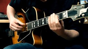 Peerless Monarch Archtop Jazzguitar - Played by Andreas Schulz