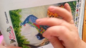 №4.отчёт №1 по вышивке картины павлины от компании фея вышивки.