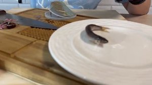 Тугунок слабой соли "Таежный цех" честный обзор