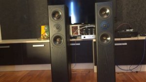 ОБЗОР акустической системы ASW CANTIUS V