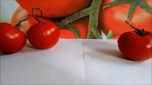 Томат Игидо F1 - универсальный гибрид нового поколения.