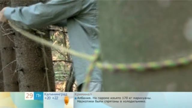 Лучший способ переждать непогоду! смотреть онлайн