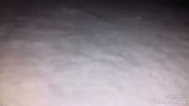 я весёлый таракан я бегу бегу бегу смотреть онлайн