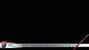 Римская свеча Огненный цветок (8/1,2)  РКR05