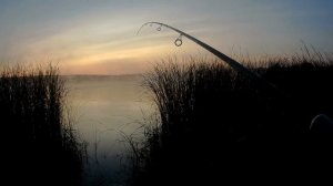 Рыбалка на линя в августе.Крупный линь на поплавок!