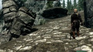 Tamriel Online. Установка и запуск мода Skyrim ONLINE CO-OP Multiplayer