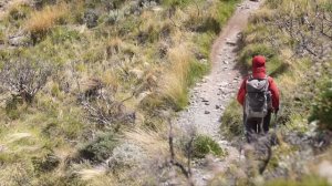 Torres del Paine Hike Patagonia Chile - Поход Торрес Дель Пайне Патагония Чили