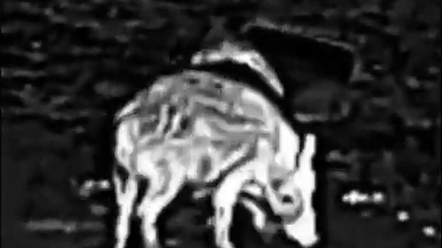 INFIRAY AFFO AP13 смотреть онлайн