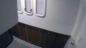 Sargo 36