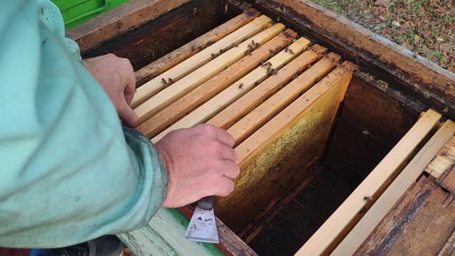 Формировать пчёл можно и в ноябре ПЧЕЛЫ ДОСТАТОЧНО И МЁДА ТОЖЕ и не нужны не какие изоляторы ☝️✅?