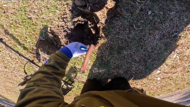 Minelab Manticore, Equinox 900 в деле.
