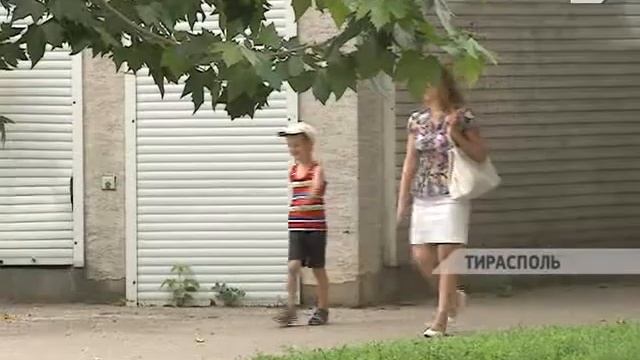 Предприятиям и учреждениям напоминают вести и сдавать персонифицированный учет смотреть онлайн