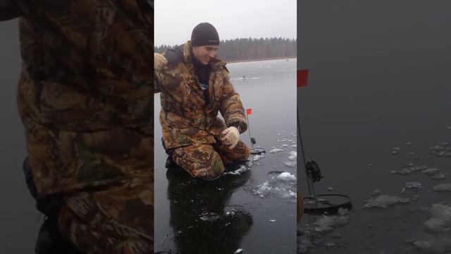 Зимняя щука на покровском на жерлицы