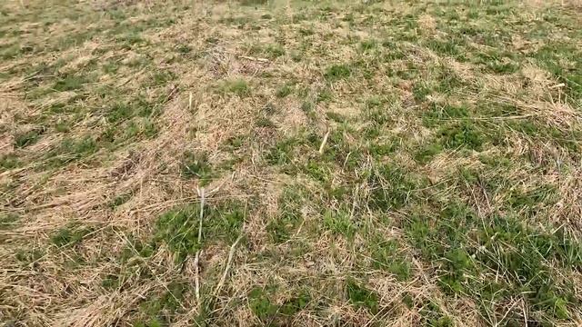 Z&Z Customs. Москит. Универсальная гильза (СтрайкАрт) смотреть онлайн