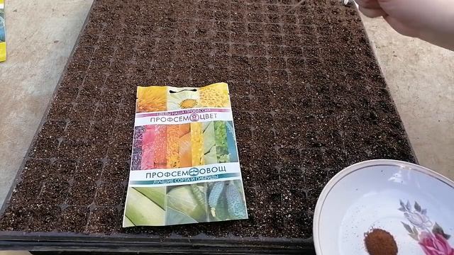 История о том, как я всё успеваю в теплице. Труднее всего - ничего не делать! Обход вдоль и поперек смотреть онлайн