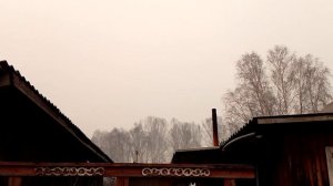 Лесные пожары !