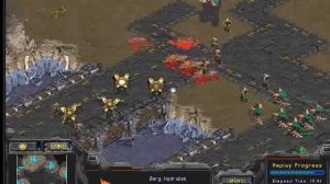 Starcraft Brood War [FPVOD] Dwarf-зерг, урок 2 (зерг против тосса)