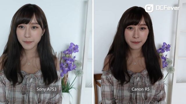 Sony A7S III vs Canon EOS R5 - Stabilization Test 1 IBIS  Lens IS