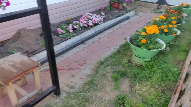 Видео OnePlus 6 1080p 60 fps. Сравнение с iPhone 7 plus смотреть онлайн