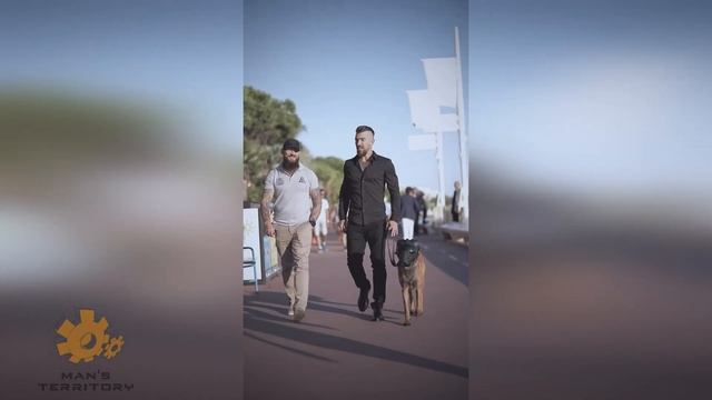 Dog gear Protective Tactical equipment K9 tactical dog helmet safety dog #k9 #dog смотреть онлайн