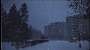 Mr.Kitty - Neglect (Doomer wave)