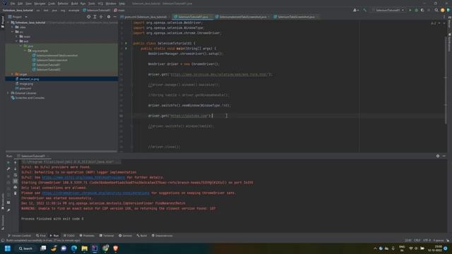 Selenium Full Course using Java |  Take Screenshot | Handle Tabs | Part 3 |
