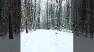 Прудки калужская область