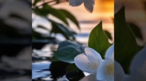 "Я увидела тебя, и изменилась жизнь моя" Тогжан Муратова