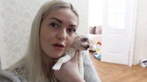 Чихуахуа и ребёнок в одном доме. Спим, едим, снимаем ТикТок/Chihuahua and baby. Sleep, food, tiktok