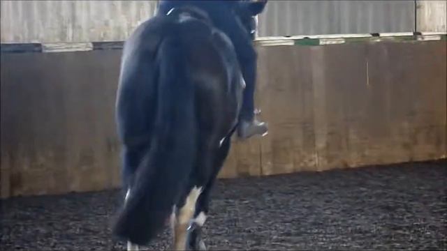 poppy,phoebe,helen,megan and ebony смотреть онлайн