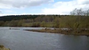 болотоход 13 л/с