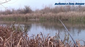 Как клюёт мелкая щука при низком давлении.