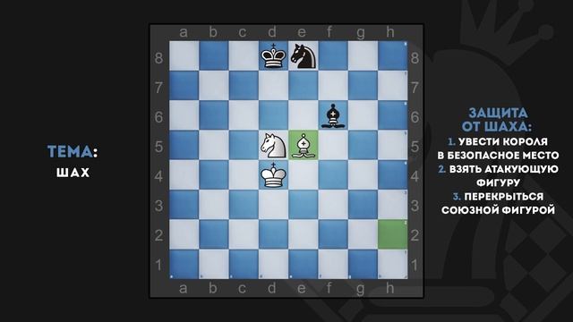 ВСЯ ПРАВДА о том, что такое ШАХ и что такое МАТ | ШАХМАТЫ | CHESS