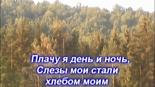 Как лань желает смотреть онлайн